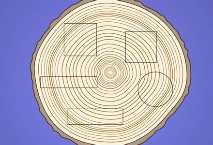 compression test on wooden block|Compression Tests, Tension Tests and Bending Tests .